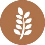 The Source Bulk Foods Bowral